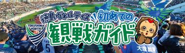 初めての観戦ガイド